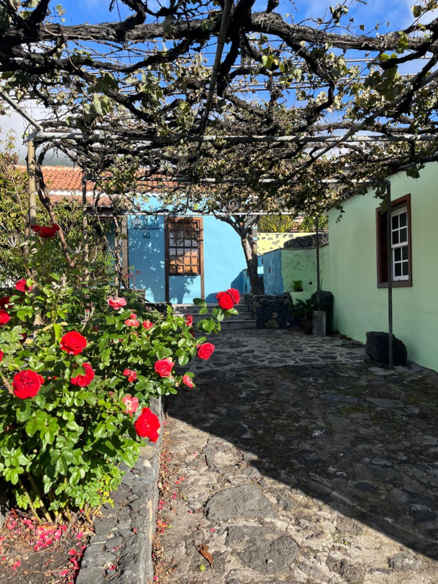 La Casita Azul Сasa de vacaciones *